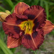 Вєнєцианскій Гондольєр