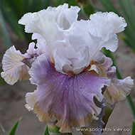 Морской Круіз