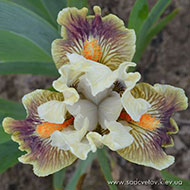 Вєсєнніє Проталінкі